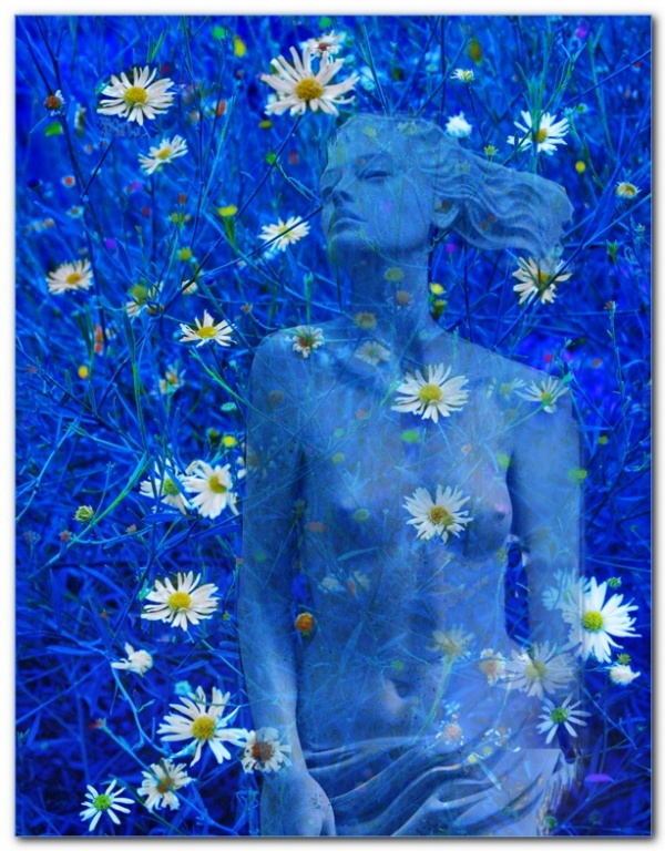 Summer Breeze
